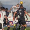 Preview Falkirk 